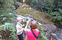 Ecological walk in sao paulo