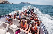 Visit the Sea Lions in Palomino Islands, in Lima Peru