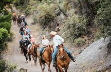 Cowpoke Ride: Adventurous horseback tour just 9 MILES from Sedona