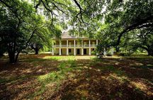 N’awlins Luxury: Double Plantation Whitney & Oak Alley with Transportation