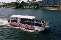 Family-Friendly Snorkeling and Dolphin Tour from FWB