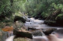 4-Day Private Tasmania Wilderness and Whiskey walks.