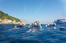 La Bombona Diving Koh Tao Try Dive