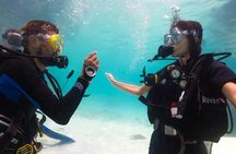 La Bombona Diving Koh Tao Open Water Course