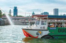 Private Full Day Singapore Highlights Tour
