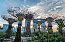 Private Full Day Singapore Highlights Tour