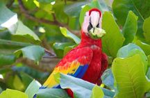 Costa Rica 5 days with accommodation, tours and some meals 