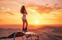 Full day PRIVATE to Paracas, Ica and Huacachina from Lima All Inclusive and Lunch
