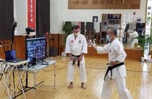 Karate・Kobudo Online Training