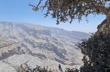 Nizwa Heritage & Jebel Shams Canyon – Private Tour from Muscat