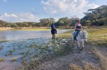 Maun Horse Riding Safari in Private Game Lodge 