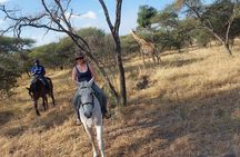 Maun Horse Riding Safari in Private Game Lodge 