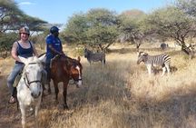 Maun Horse Riding Safari in Private Game Lodge 