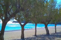 Land Rover Safari: Tripitis Gorge and Beach, South Crete