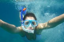 Baru Island and Cartagena Snorkel and Mangroves with Lunch