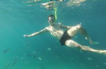 Baru Island and Cartagena Snorkel and Mangroves with Lunch