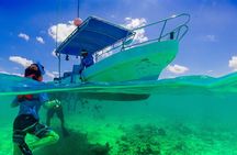 Baru Island and Cartagena Snorkel and Mangroves with Lunch