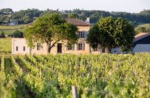 Saint Emilion Half-Day Trip with Wine Tasting & Winery Visit from Bordeaux