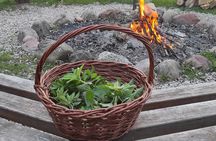 Herbal and Wild food walking tour in Warsaw area