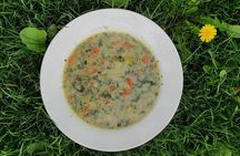 Herbal and Wild food walking tour in Warsaw area