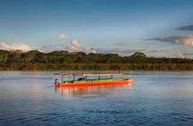 4-Day Tambopata Rainforest Adventure