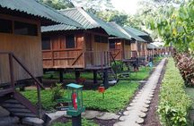 4-Day Tambopata Rainforest Adventure