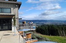 Private Wine Tours