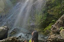Rainforest Hike to Hidden Waterfall in Puerto Rico with Transport