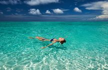 All inclusive cruise-Mykonos Delos&Rhenia beaches(free transport)