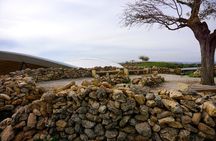 Private Göbeklitepe Tour from Istanbul by Plane