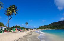 Capital City Tour and Beach Splash