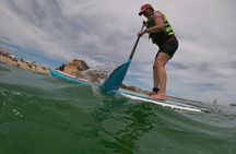 Kayak and Snorkel tour at Pelican Rock
