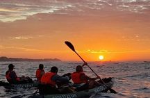 Kayak and Snorkel tour at Pelican Rock