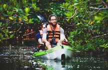 Kayak Adventure in Cancun