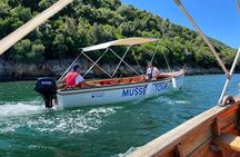 Mussel Sailing Tour with Food and Drink Tasting in Albania