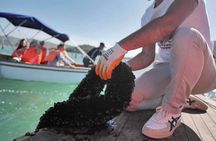 Mussel Sailing Tour with Food and Drink Tasting in Albania