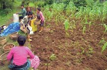 5-Day Private Farming Experience in Nayapul with Accommodation