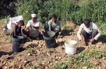 5-Day Private Farming Experience in Nayapul with Accommodation