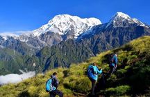Mardi Himal Trek