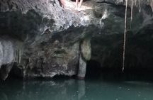 Tours On The Island Cozumel