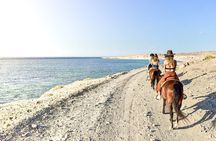 Morning or Sunset Horseback Riding with Breakfast or dinner incl.