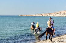 Horseback Riding to the beach.
