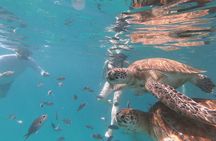 Shasa Catamaran Cruises Limited Numbers 3 Hour Sail and Snorkel