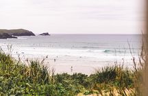Private Surfing Lesson