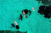 SUP Adventure in Alghero : Tour through the Coves of Lazzaretto
