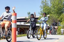 Pedego Electric Bike Tour at Greenville