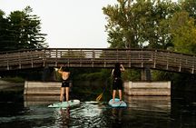Paddleboard Eco Tour in Toronto Islands, Canada