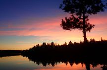 Algonquin Park Luxury 3-Day Camping & Canoeing: Moose/Beaver/Turtle Adventure