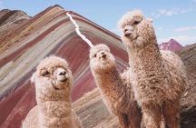 5 days tour to Machupicchu, Sacred Valley and Rainbow Mountain in small group