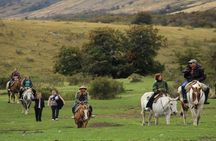 Patagonian Ranch: Nibepo Aike Adventure with Horseback Riding